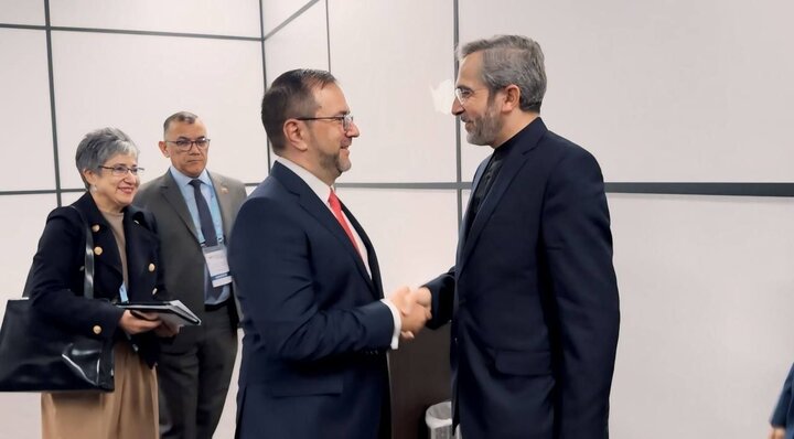 «باقری» با وزیر خارجه ونزوئلا دیدار کرد