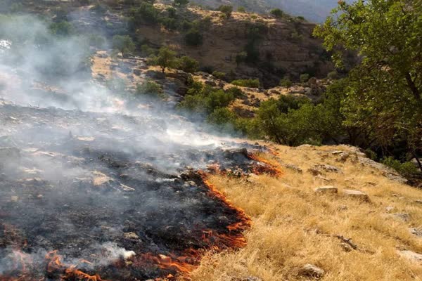 آتش‌سوزی منطقه عشایری چناره در کبیرکوه مهار شد