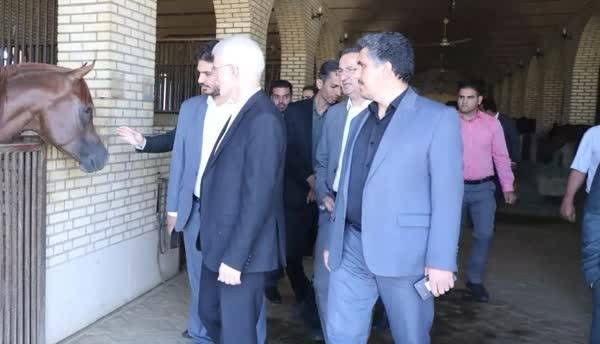بازدید معاون وزیر ورزش از باشگاه سوارکاری بیک
