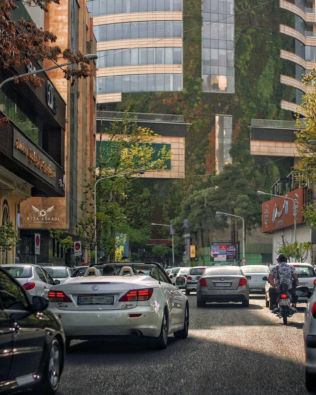 عکس/ قاب هایی دلربا از پایتخت