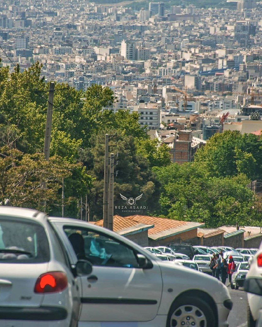 عکس/ قاب هایی دلربا از پایتخت