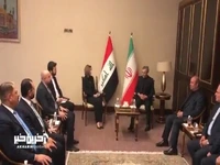 دیدار وزیر امور مهاجرت عراق و اعضای حزب جنبش بابلیون با باقری در بغداد