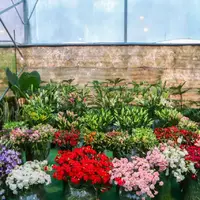 عکس/ افتتاح نمایشگاه گل و گیاهان زینتی محلات
