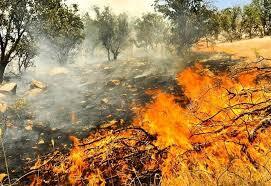 کاهش تعداد آتش‌سوزی در مناطق حفاظت‌شده کهگیلویه و بویراحمد