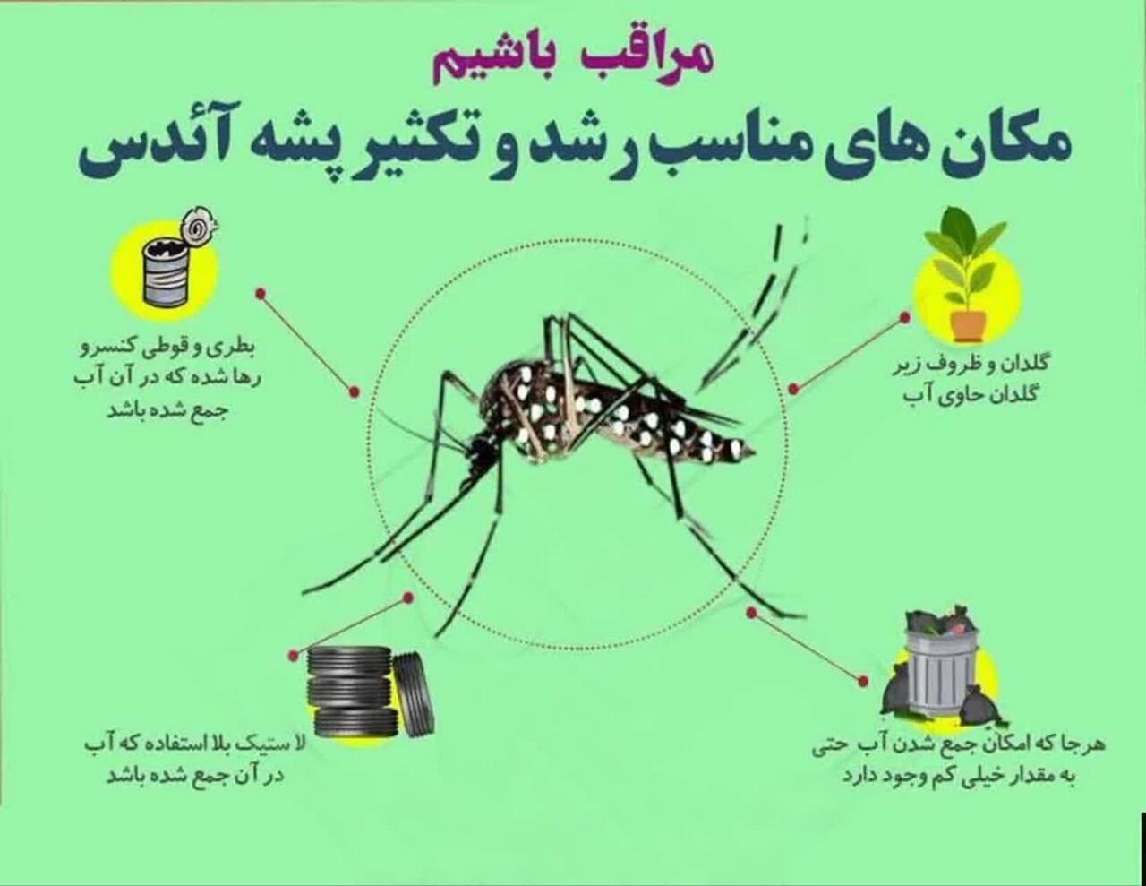 ارتقای سطح سلامت بوشهری‌ها برای مقابله با پشه آئدس ضروری است