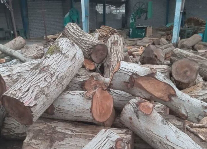 دو تُن چوب غیرمجاز جنگلی در رودان کشف شد