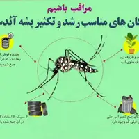 ارتقای سطح سلامت بوشهری‌ها برای مقابله با پشه آئدس ضروری است