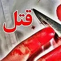 17 ضربه چاقو به خاطر ناسزاگویی در یکی از بوستان‌های تهران!