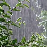 پیش‌‌بینی رگبار باران در برخی مناطق استان قزوین