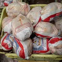 وضعیت مطلوب ذخیره‌سازی و تولید مرغ در آذربایجان‌ غربی