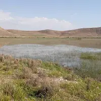 یک تالاب دیگر در آذربایجان‌ غربی احیا شد