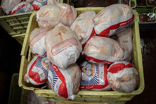 وضعیت مطلوب ذخیره‌سازی و تولید مرغ در آذربایجان‌ غربی