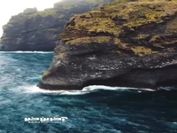 صخره  ای در ساحل شمالی ایسلند شبیه دایناسور
