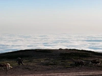 دریای ابر ارتفاعات مازندران