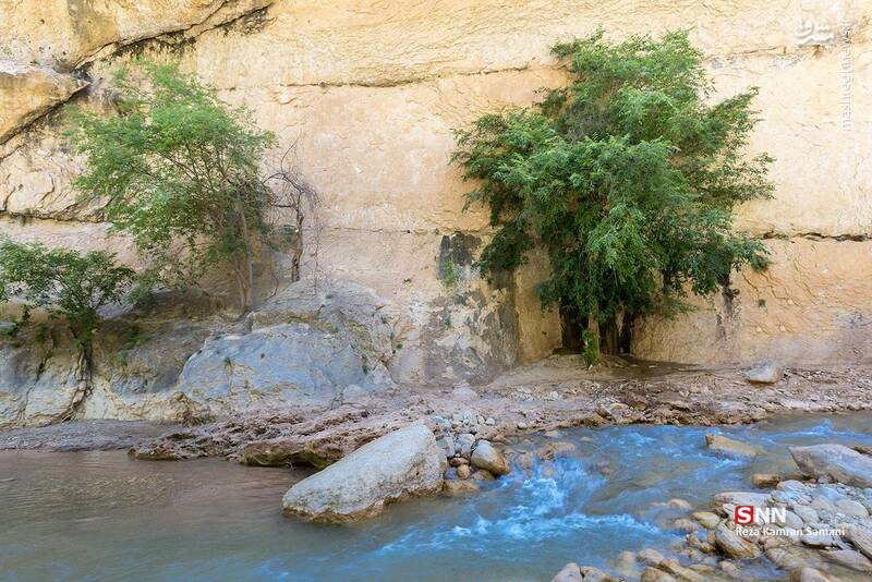 تنگه شیرز کوهدشت لرستان