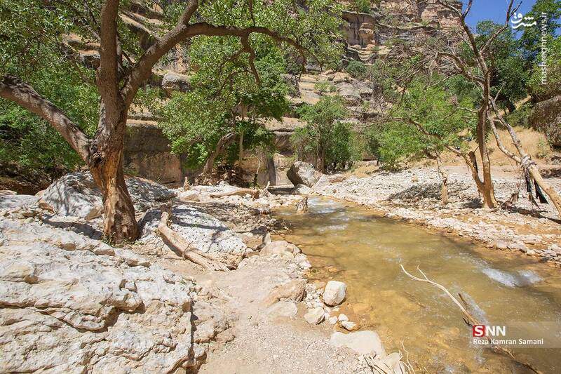 تنگه شیرز کوهدشت لرستان