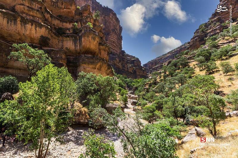 تنگه شیرز کوهدشت لرستان