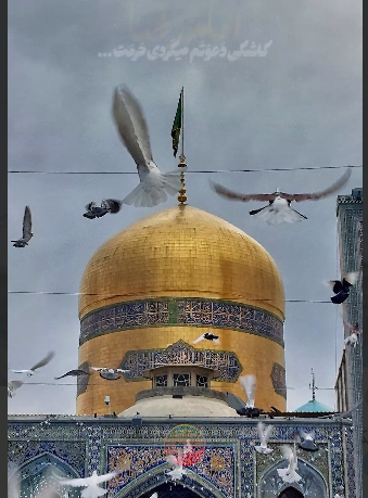 یا امام رضا دلم یه دنیا تنگ شده برات