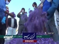 دستیابی متخصصان کشور به دانش فنی استخراج رنگدانه زعفران