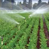 الزامات حکمرانی آب و رونق کشاورزی در دولت چهاردهم
