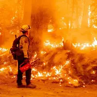 آتش‌سوزی گسترده در کالیفرنیا