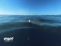 اولین ویدیو از عملکرد زیردریایی بدون خدمه Manta Ray دارپا منتشر شد