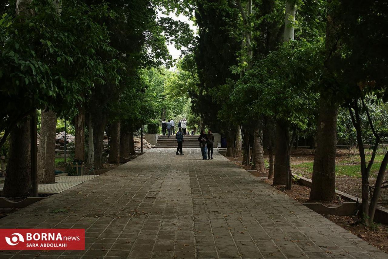 باغ ارم شیراز