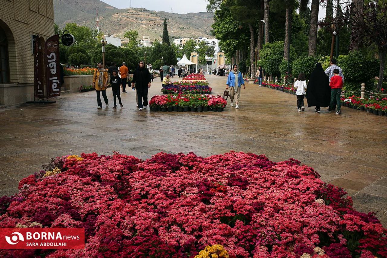 باغ ارم شیراز