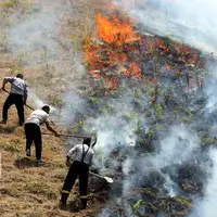 تشکیل پرونده قضایی برای ۶ نفر از عوامل آتش‌سوزی در جنگل‌های کهگیلیویه 