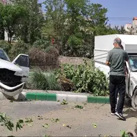 حادثه تصادف در مشهد منجر به قطع درخت شد