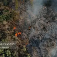 شناسایی ۱۷ نفر برای آتش‌سوزی جنگل‌های لرستان