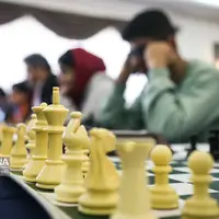 شطرنج زنجان برای درخشش بیشتر نیازمند حمایت مسئولان است