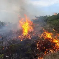 آتش‌سوزی در پنج هکتار از مراتع «چنارود» شهرستان چادگان