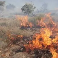 آتش‌سوزی در مراتع شهیون دزفول