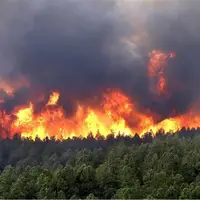 سلاجقه: از همه ظرفیت‌ها برای مهار آتش جنگل‌های لردگان استفاده می‌کنیم