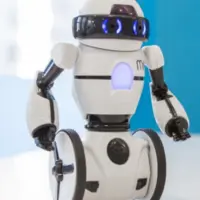 تا به حال ‌ربات خدمتکار دیده اید؟