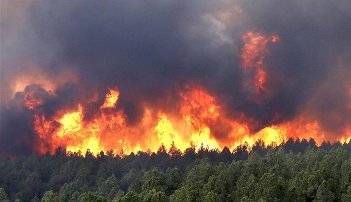 سلاجقه: از همه ظرفیت‌ها برای مهار آتش جنگل‌های لردگان استفاده می‌کنیم
