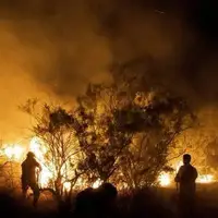 شناسایی ۱۹ نفر از عوامل آتش‌سوزی عمدی در جنگل‌های لرستان