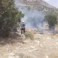 آتش‌سوزی در منطقه حفاظت شده تنگ بستانک مرودشت مهار شد