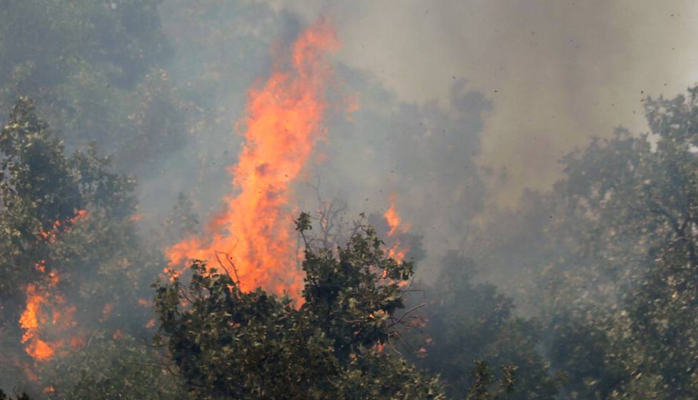 آتش‌‌سوزی منطقه حفاظت‌شده دیل در گچساران مهار شد