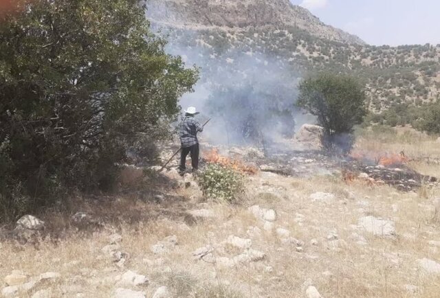 آتش‌سوزی در منطقه حفاظت‌شده تنگ بستانک مرودشت مهار شد