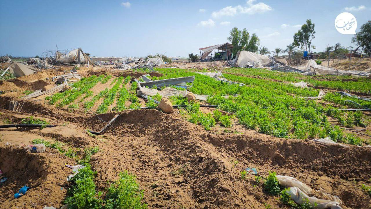 عکس/ تخریب آخرین سبد غذایی فلسطینیان در جنوب نوار غزه