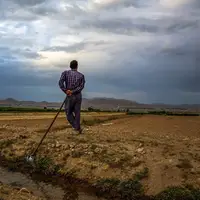کاهش ۲۴.۵ درصدی بارندگی در استان قزوین