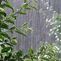 بارش‌های رگباری شمال آذربایجان غربی را فرا می‌گیرد