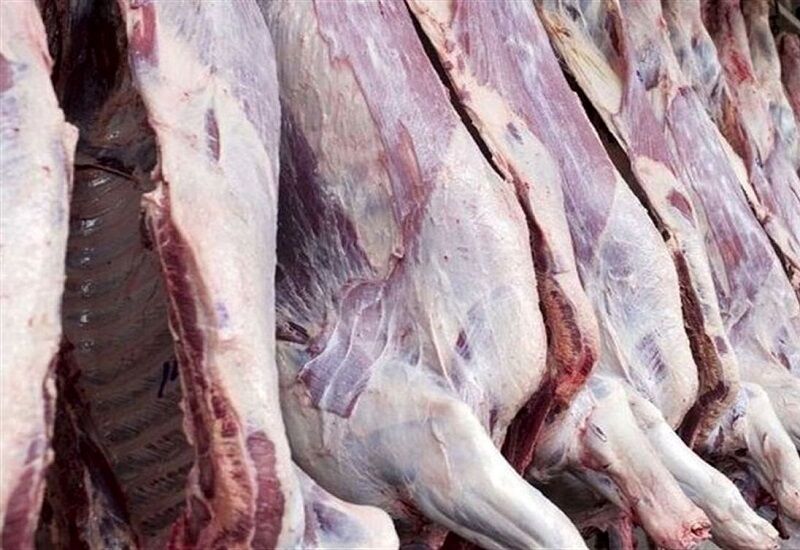هشدار عجیب دامپزشکی کردستان: مردم از خرید و مصرف گوشت اسب خودداری کنند!