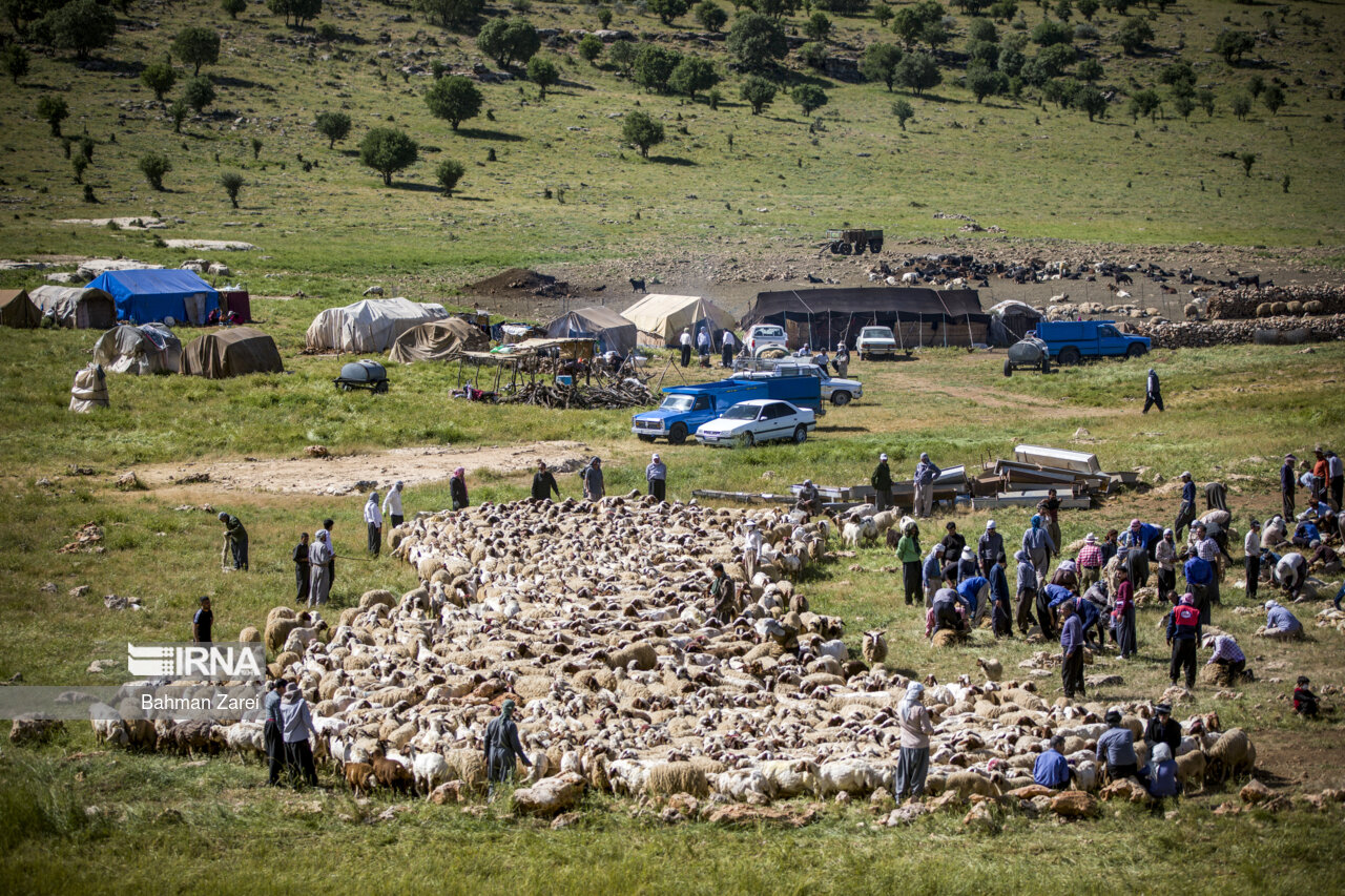 کوچ عشایر به مناطق ییلاقی شمال آذربایجان‌ غربی آغاز شد