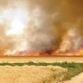 ممنوعیت آتش زدن مزارع بعد از برداشت محصول در آذربایجان شرقی