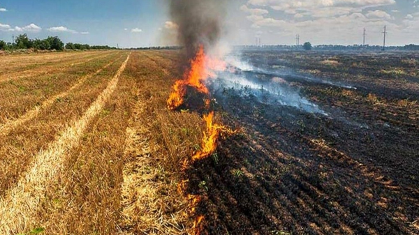 کشاورزان مراقب آتش‌سوزی در مزارع خود باشند