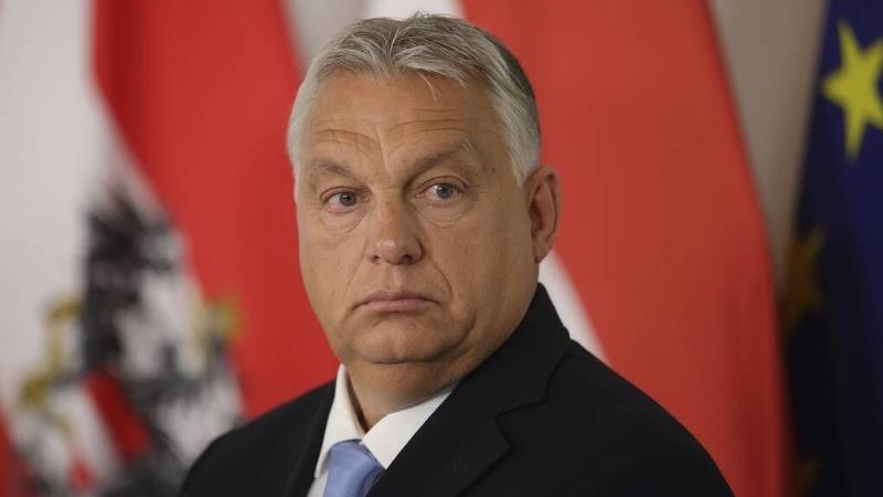 استقبال و حمایت نخست وزیر مجارستان از پیروزی جریان راست افراطی در انتخابات پارلمانی فرانسه