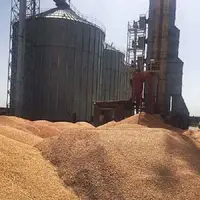 خرید ۷۳ هزار تن گندم در کهگیلویه و بویراحمد